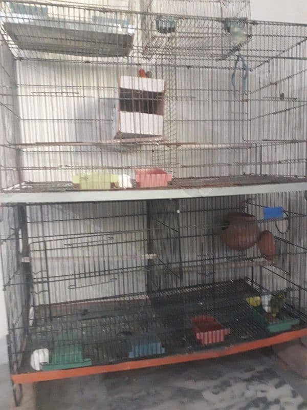 2 folding cages with birds 1 pair of love birds and 3 pices budgries 0