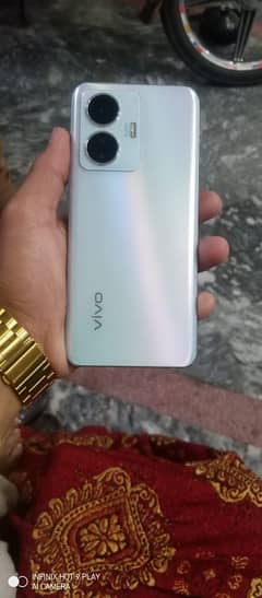 vivo