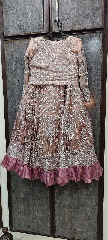 Lehenga Pink colour 2