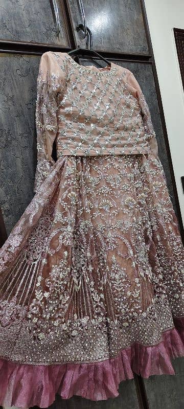 Lehenga Pink colour 3