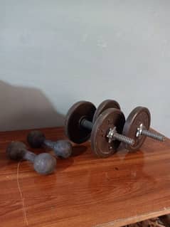 Single Dumbbells for sale