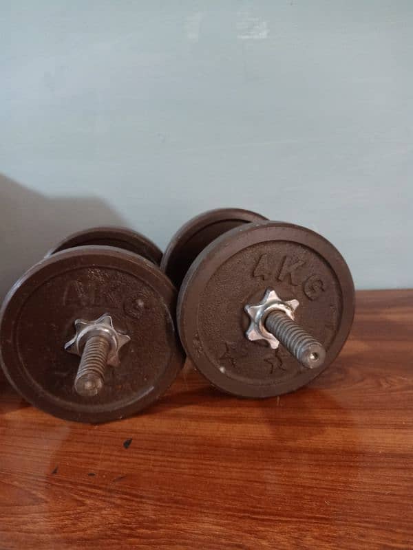 Single Dumbbells for sale 1