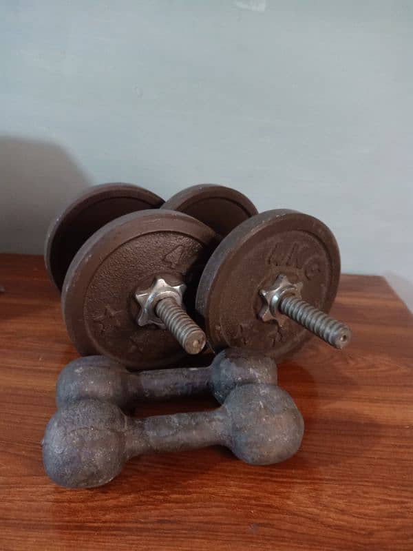 Single Dumbbells for sale 2