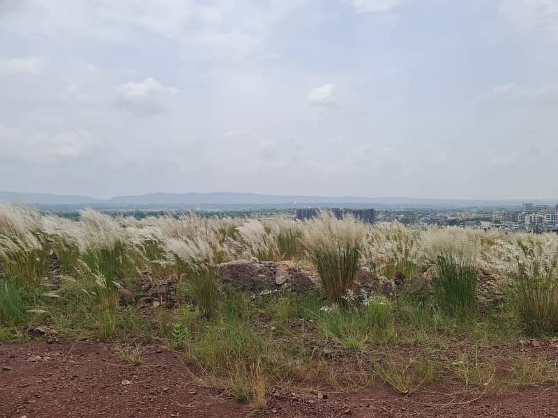 Farm House Land For Sale In Chak Shehzad 1