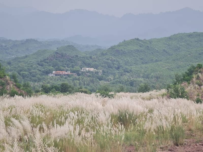 Farm House Land For Sale In Chak Shehzad 4