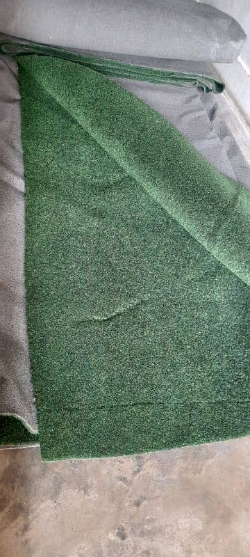 Carpet (New) Thick, Green Grassy Style Beautiful 0