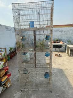 Iron Cage for birds