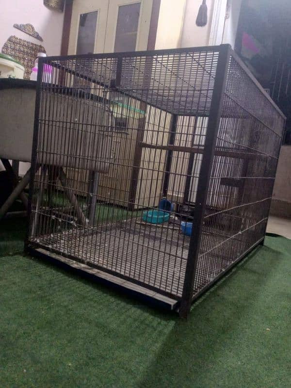 Makao Cage for sale 0