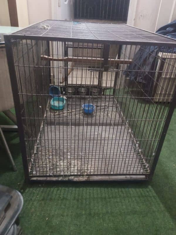 Makao Cage for sale 2