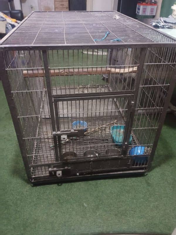 Makao Cage for sale 3