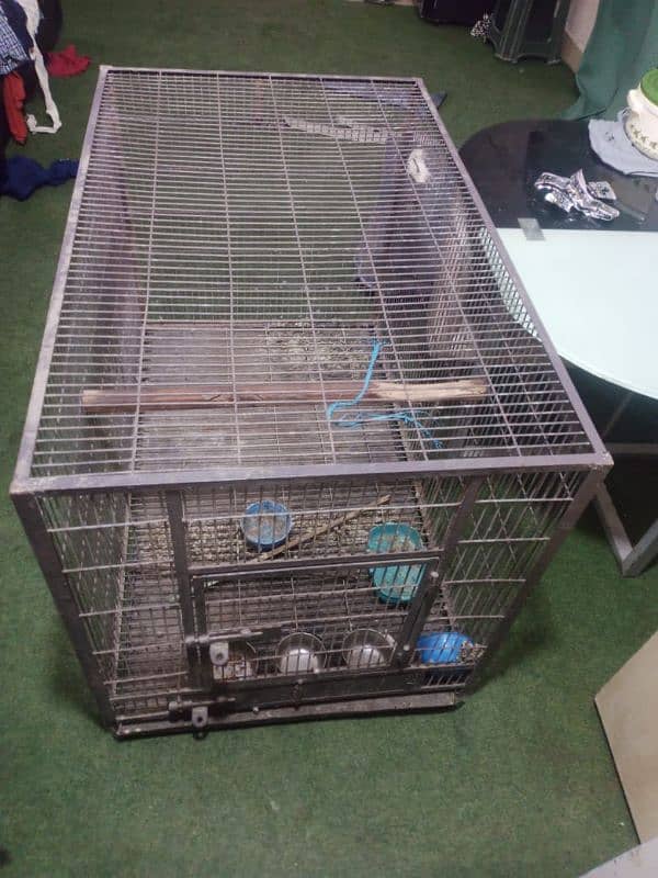 Makao Cage for sale 5