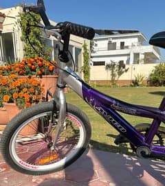 Good Condition 20” bike for sale