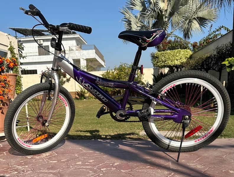 Good Condition 20” bike for sale 1