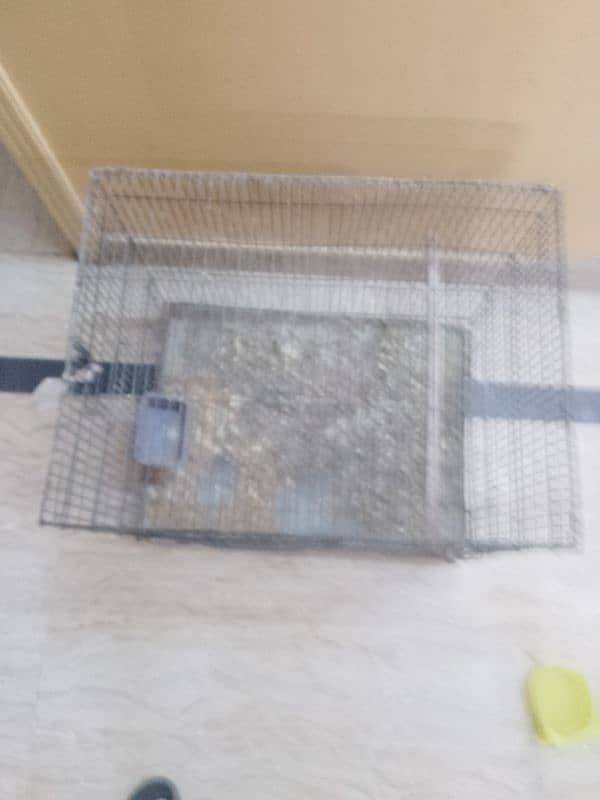 cage for parrots 3