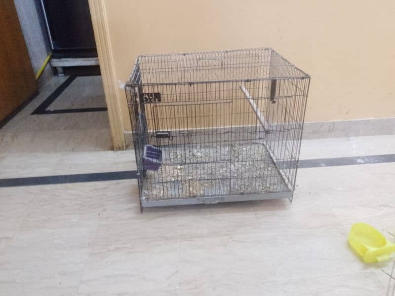 cage for parrots 4