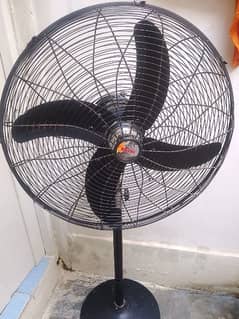 Stand Fan