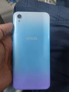 vivo