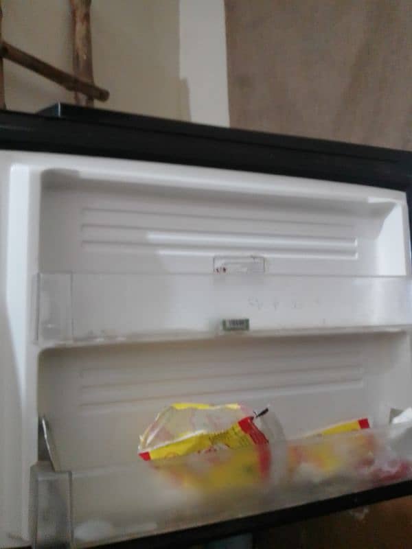 pel fridge 1