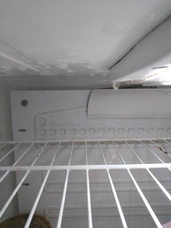 pel fridge 7