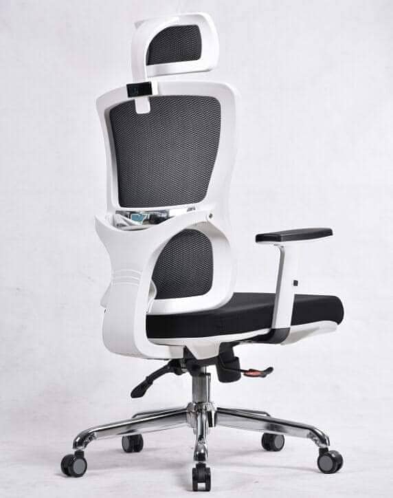 imported Executive Chair, ergonomic chair 1