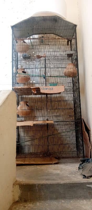 cage for sale love birds sale 1