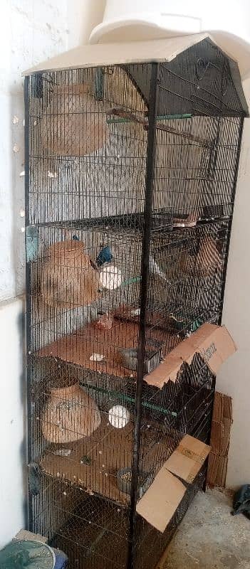 cage for sale love birds sale 2