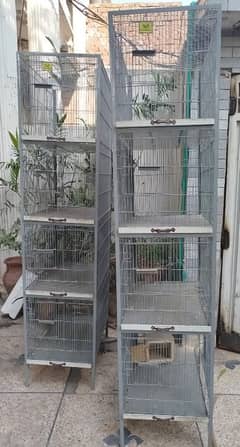 Birds Cages