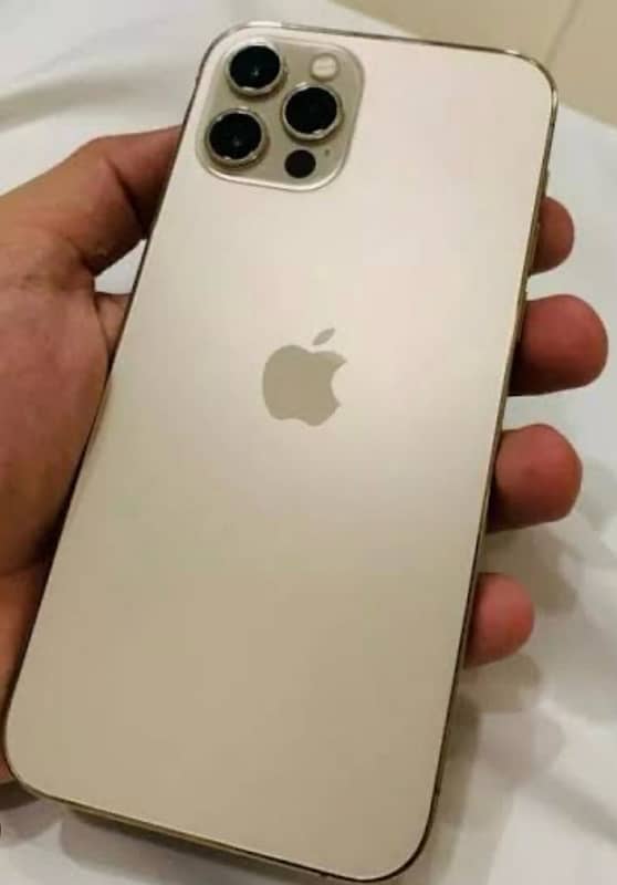 iPhone 12 Pro Max golden colour 256GB 1