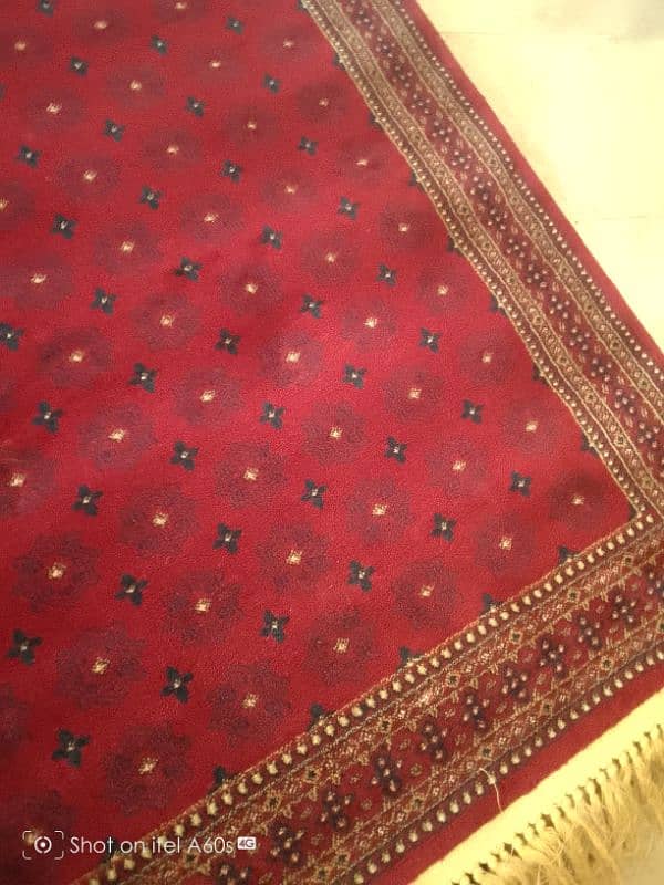 carpet 5