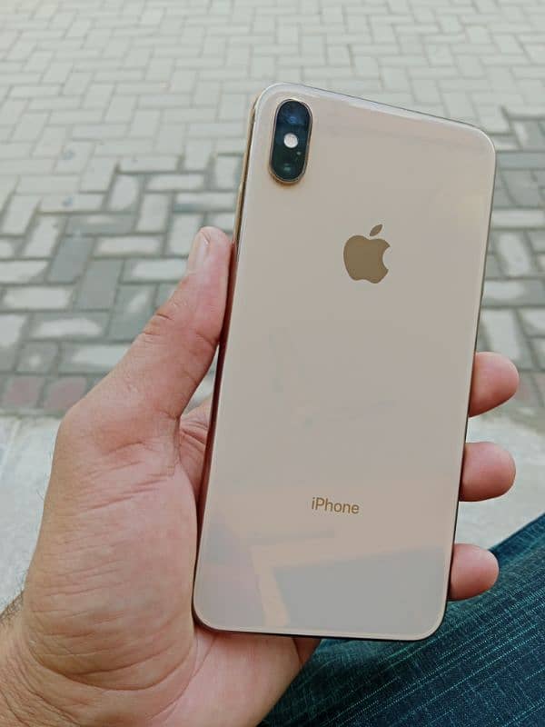 Xs max 256gb 0