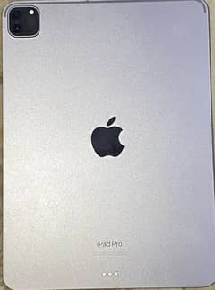 iPAD PRO M2 (11 inch)