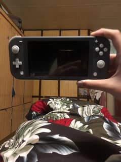 Nintendo switch lite version