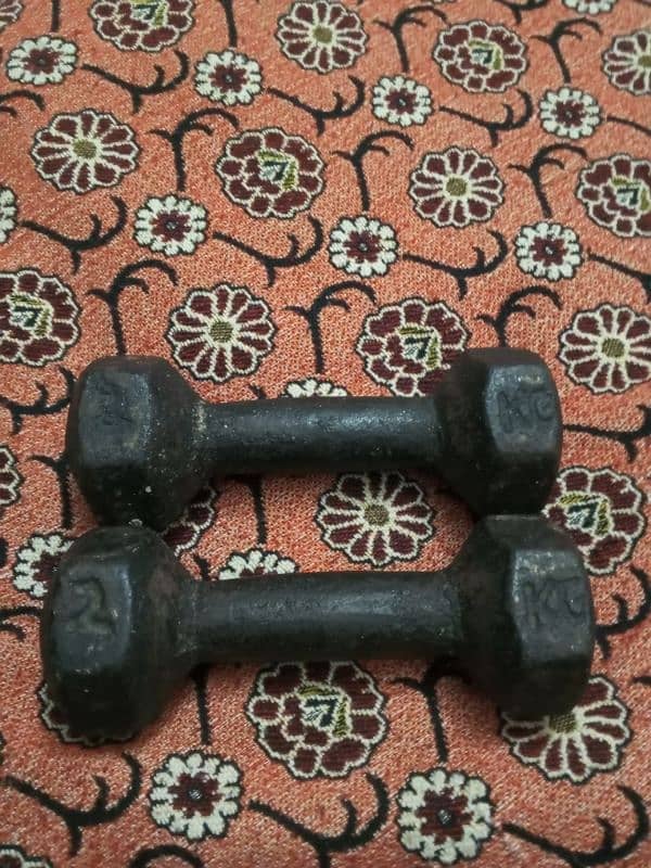 pair of Dumbbell 1