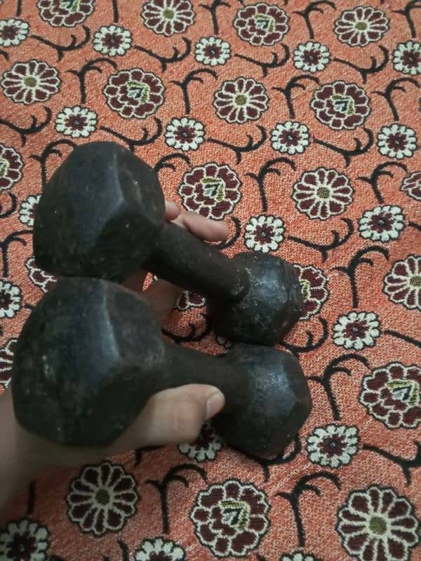 pair of Dumbbell 2