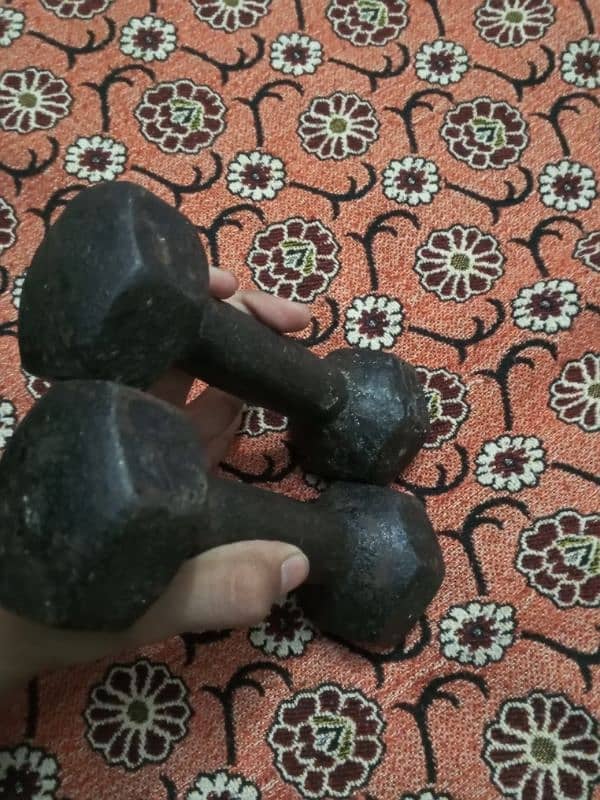 pair of Dumbbell 3