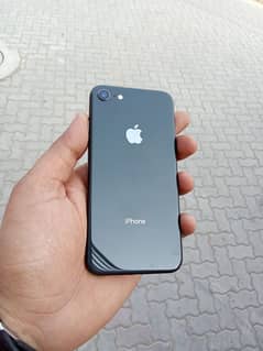 I phone 8 PTA Approved