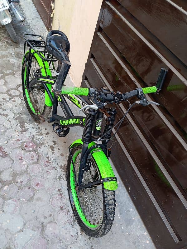 Green Bicycle 2