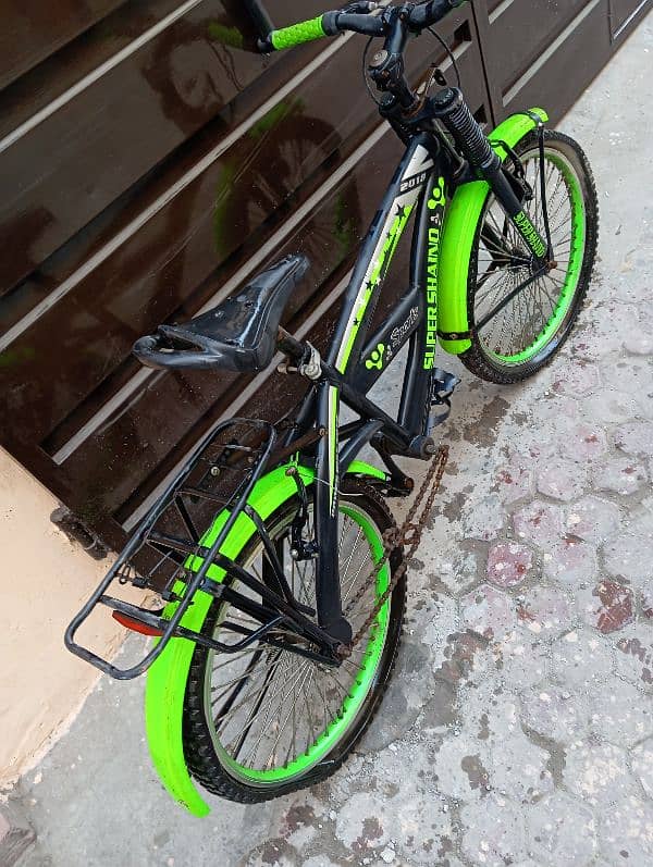 Green Bicycle 3