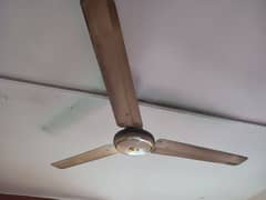 3 ceiling fan's for sale