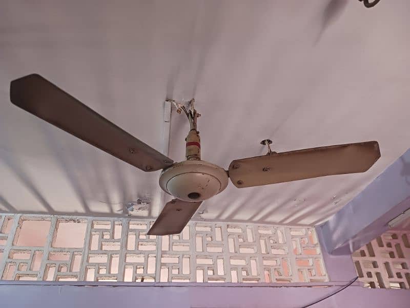 3 ceiling fan's for sale in good condition 1