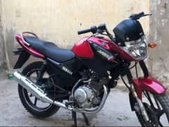 YBR 125 2019