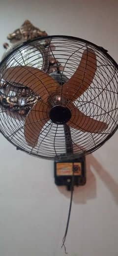 12 watt fan