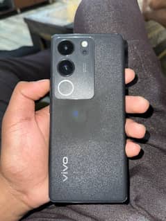 vivo v29 8/256