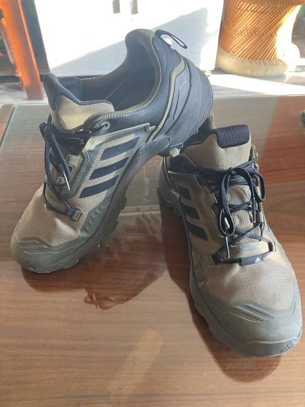 Adidas Terrex Swift R Trekking Shoe 1