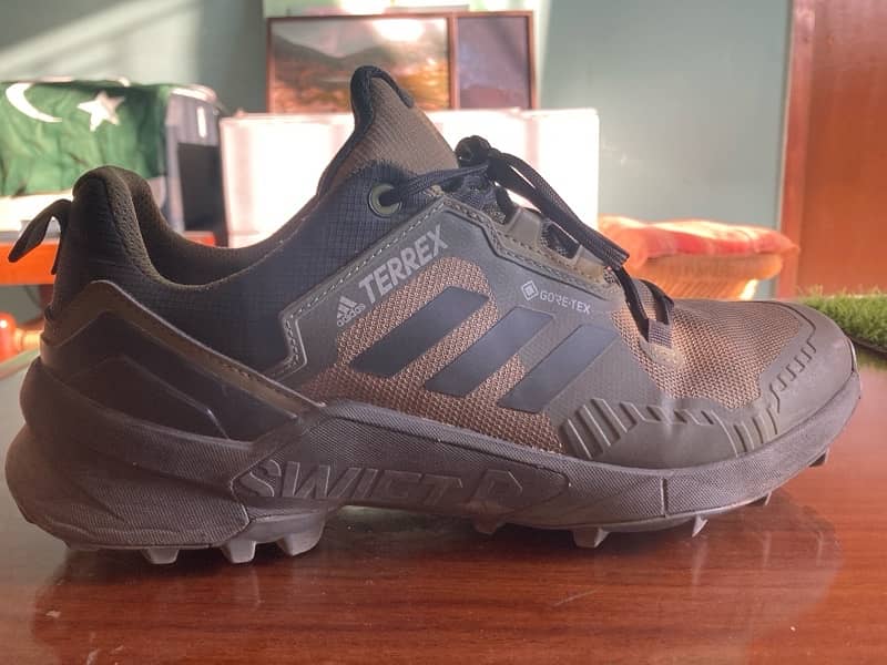 Adidas Terrex Swift R Trekking Shoe 4