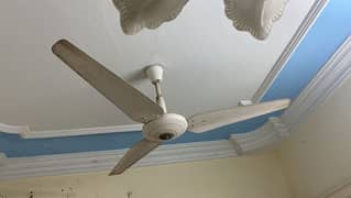 fan celling