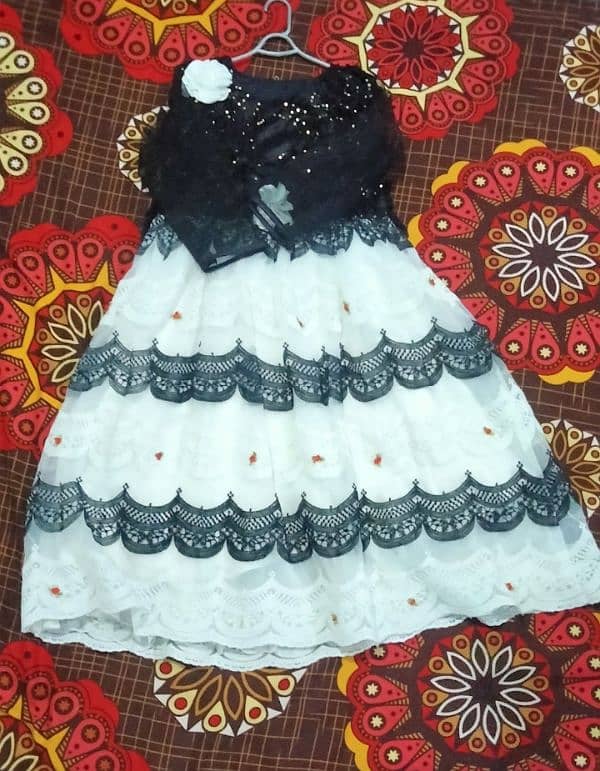 colar belu brown darg belu ۔baby colar white black ۔white 3