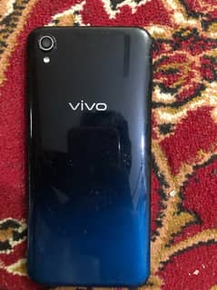 vivo