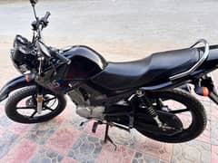 yamah ybr 125 g (2023) black colour,lush condition