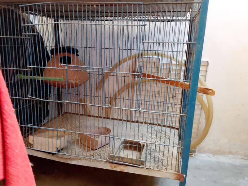 sale two cage ek cage two floor and one single 0